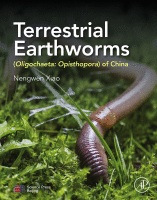 Terrestrial Earthworms (Oligochaeta: Opisthopora) of China