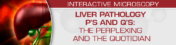 USCAP Liver Pathology P’s and Q’s: The Perplexing and the Quotidian 2022 (CME VIDEOS