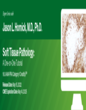 Expert Series with Jason L. Hornick, M.D., Ph.D.: Soft Tissue Pathology: A One-On-One Tutorial 2022 videos