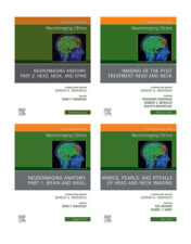 Neuroimaging-Clinics-of-North-America-2022
