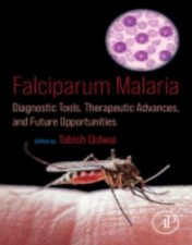 Falciparum Malaria Diagnostic Tools, Therapeutic Advances, and Future Opportunities ,2024 Original PDF