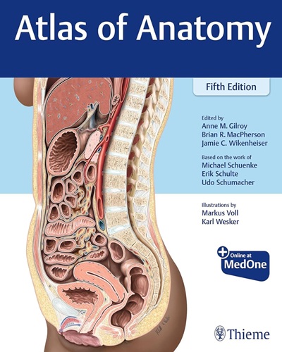 Atlas of Anatomy 5th Edition